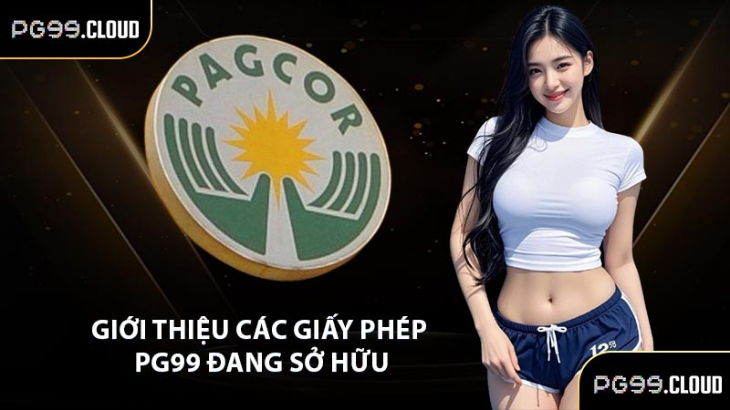 Giới thiệu các giấy phép PG99 đang sở hữu