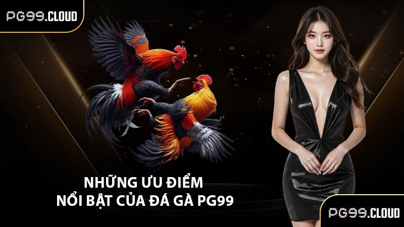 Những ưu điểm nổi bật của đá gà PG99
